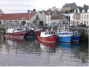 Pittenweem harbour